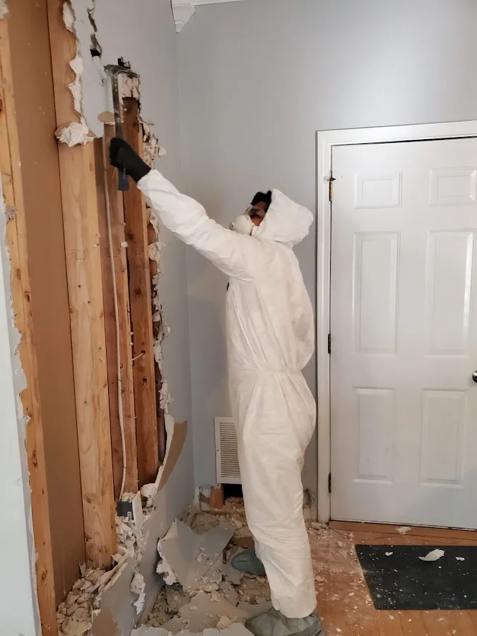 Odor Removal & Deodorization in Concord, MO